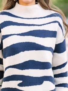 cream white and blue striped sweater you love